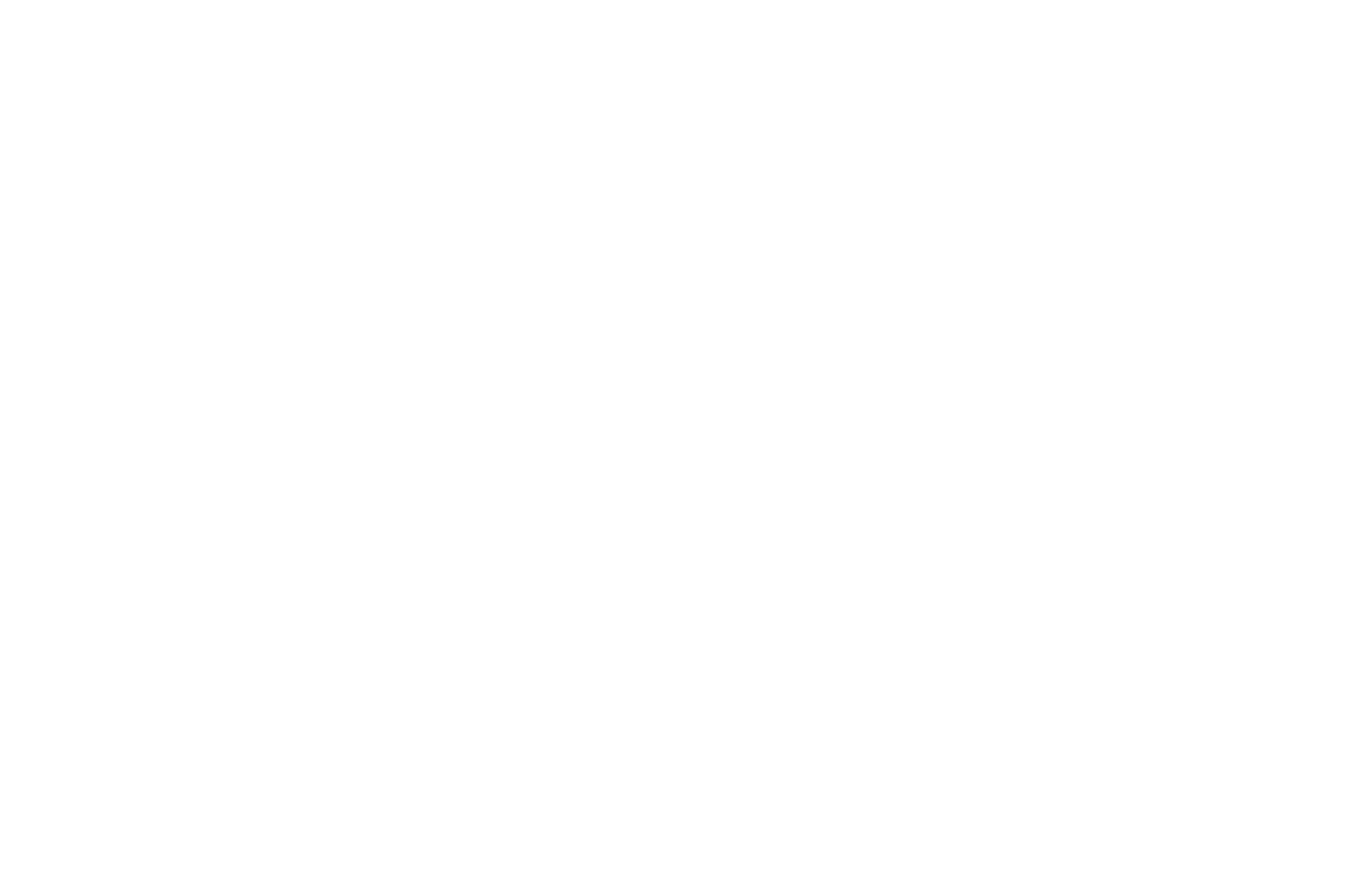 Venot Solutions Logo